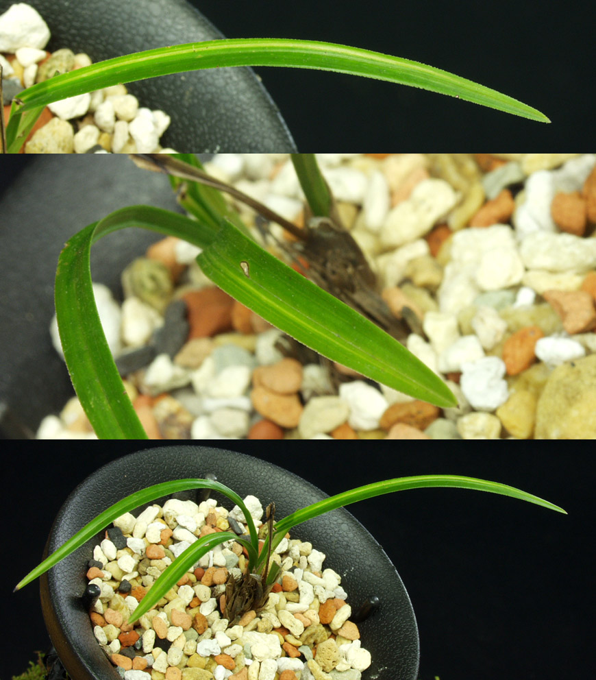 ������ ū������ �� �� �ֽ��ϴ�.