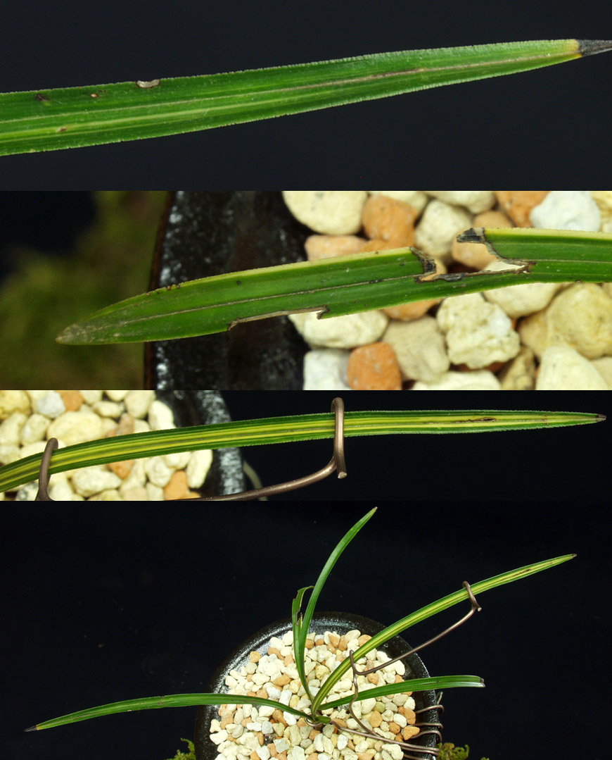 ������ ū������ �� �� �ֽ��ϴ�.