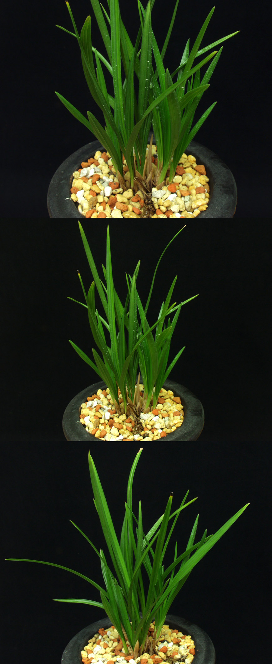 ������ ū������ �� �� �ֽ��ϴ�.