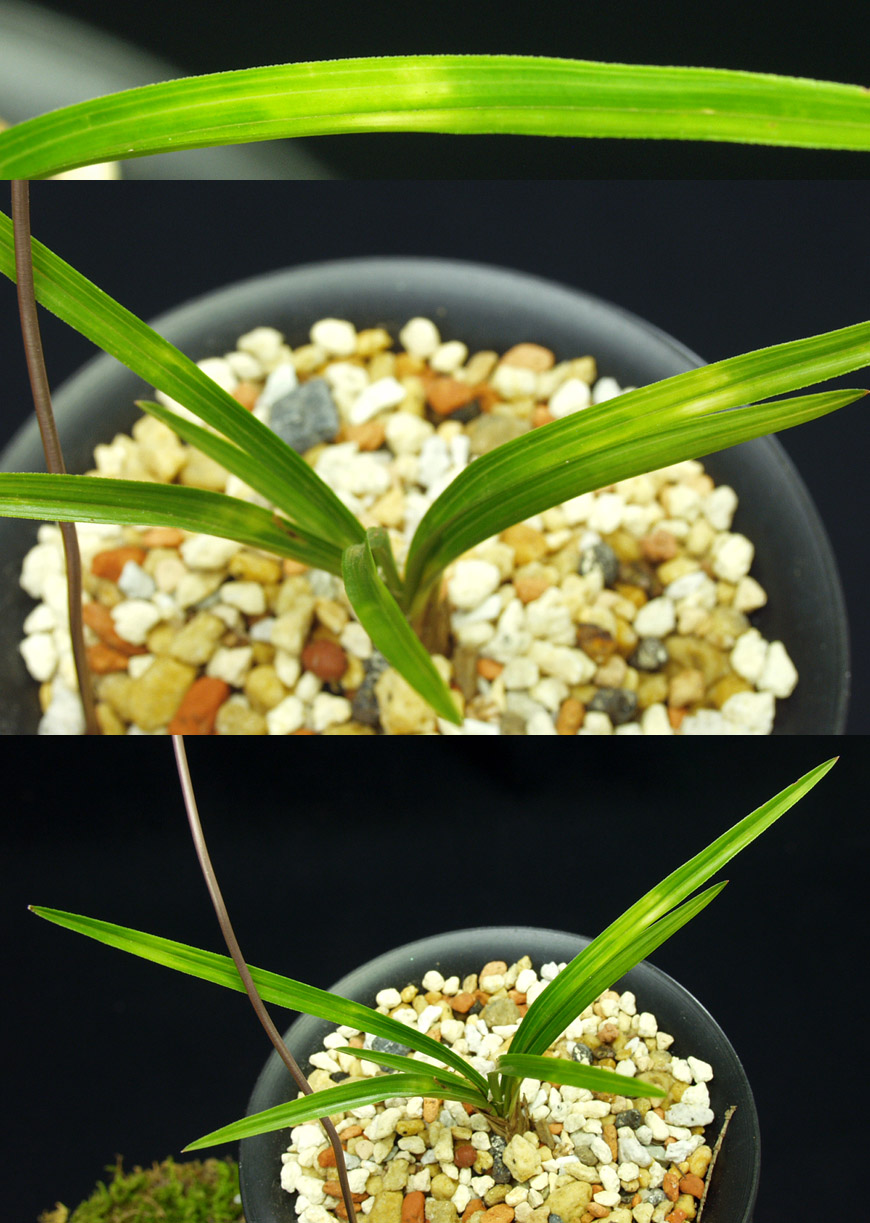 ������ ū������ �� �� �ֽ��ϴ�.