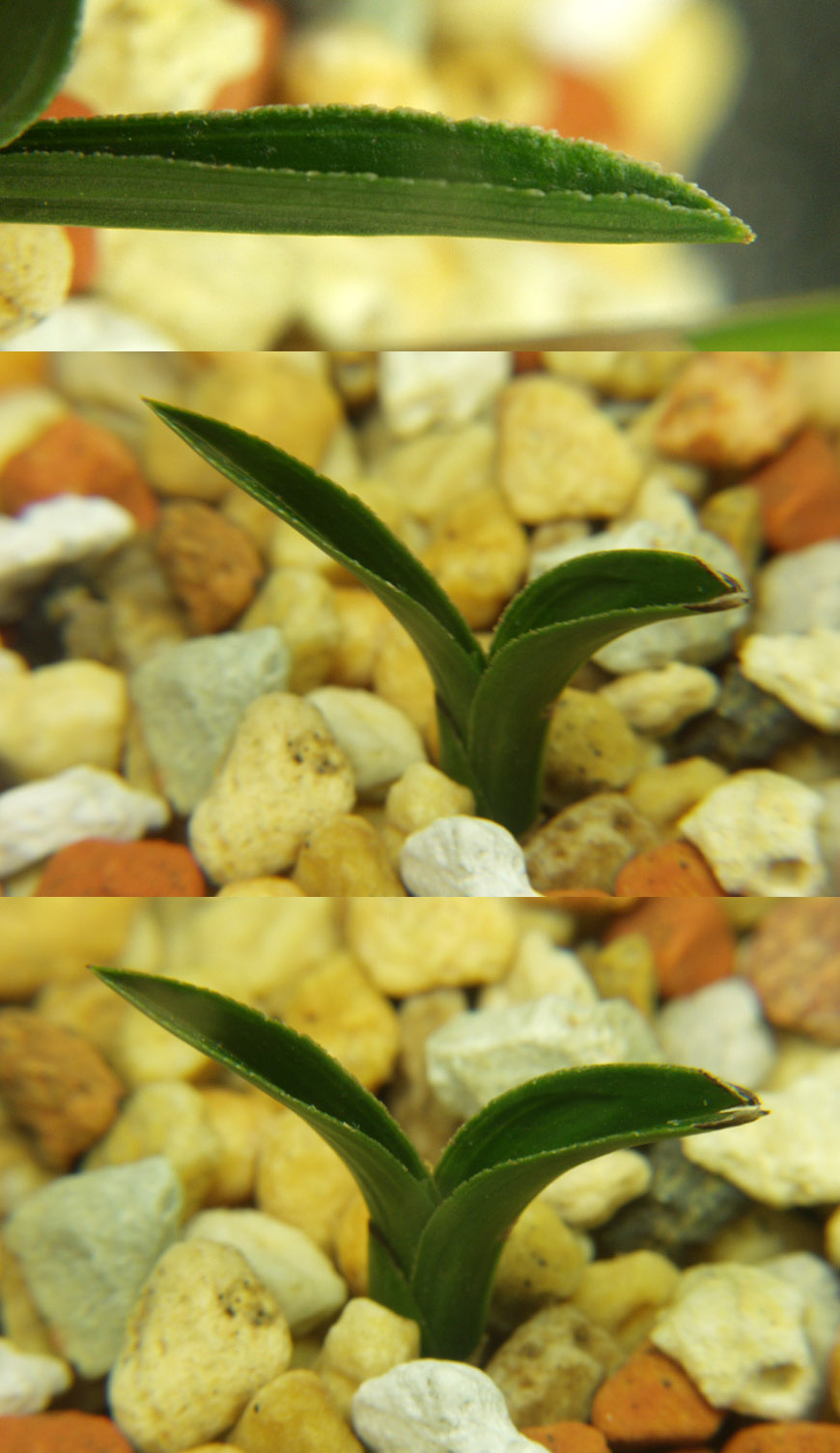 ������ ū������ �� �� �ֽ��ϴ�.