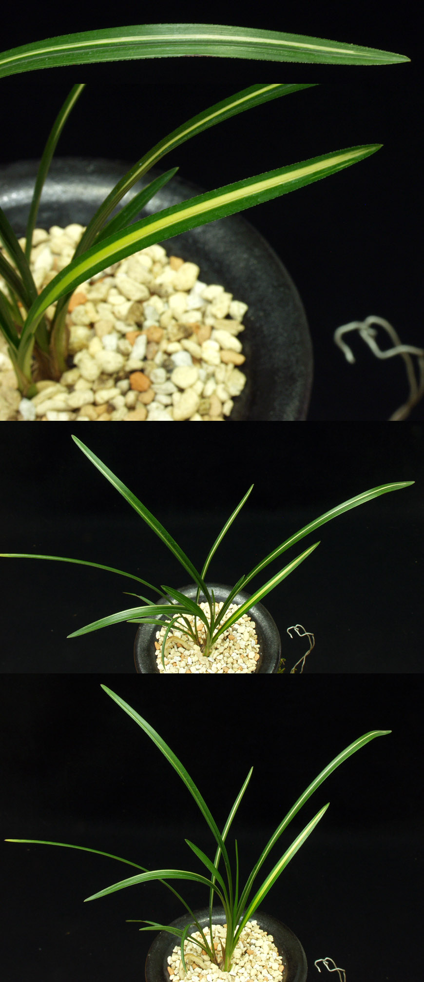 ������ ū������ �� �� �ֽ��ϴ�.