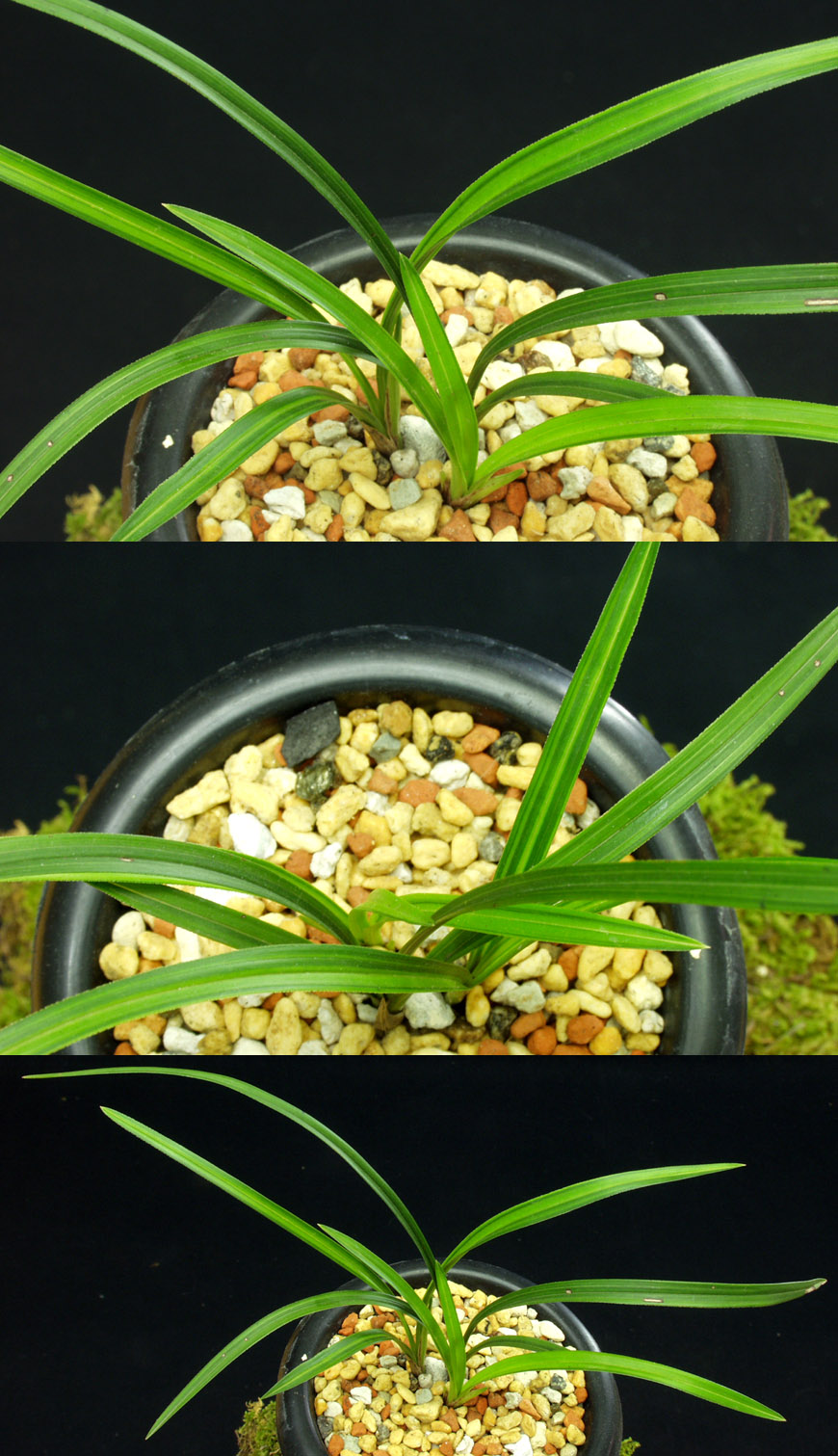 ������ ū������ �� �� �ֽ��ϴ�.