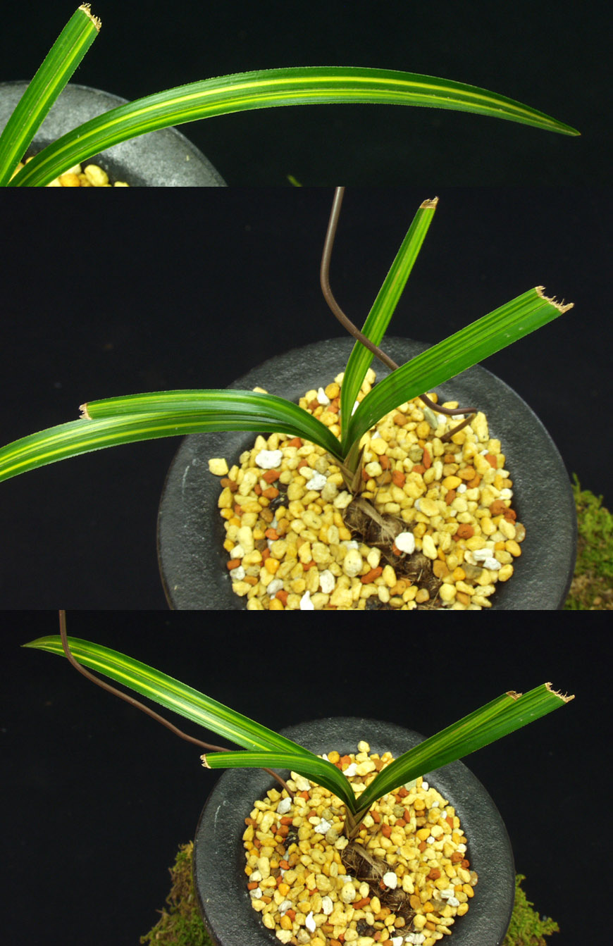 ������ ū������ �� �� �ֽ��ϴ�.