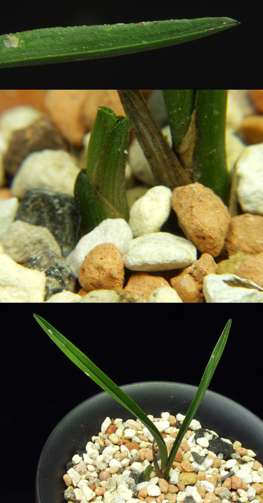 ������ ū������ �� �� �ֽ��ϴ�.