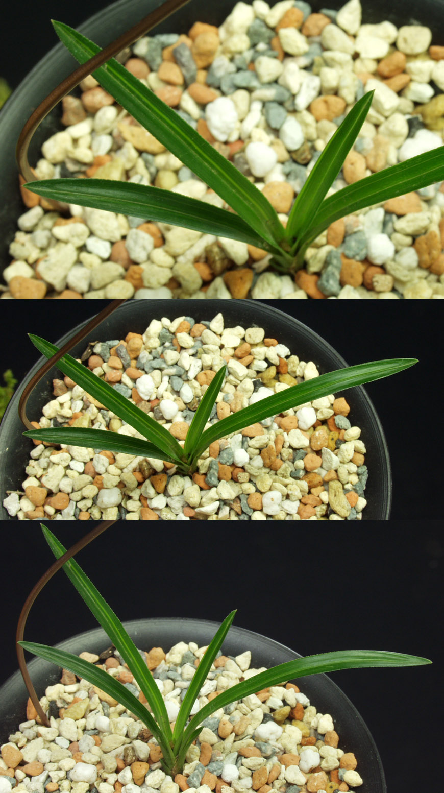 ������ ū������ �� �� �ֽ��ϴ�.