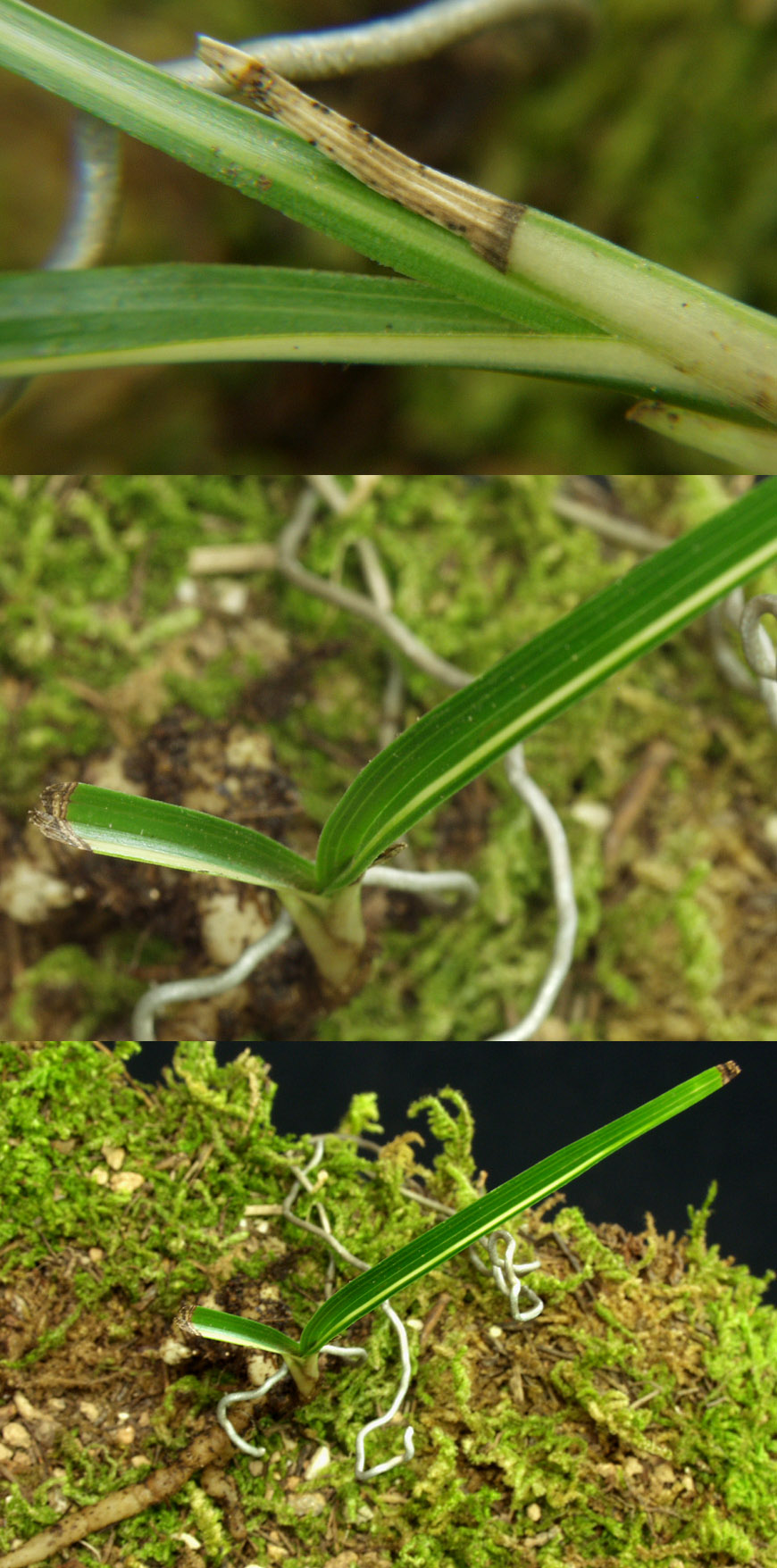 ������ ū������ �� �� �ֽ��ϴ�.