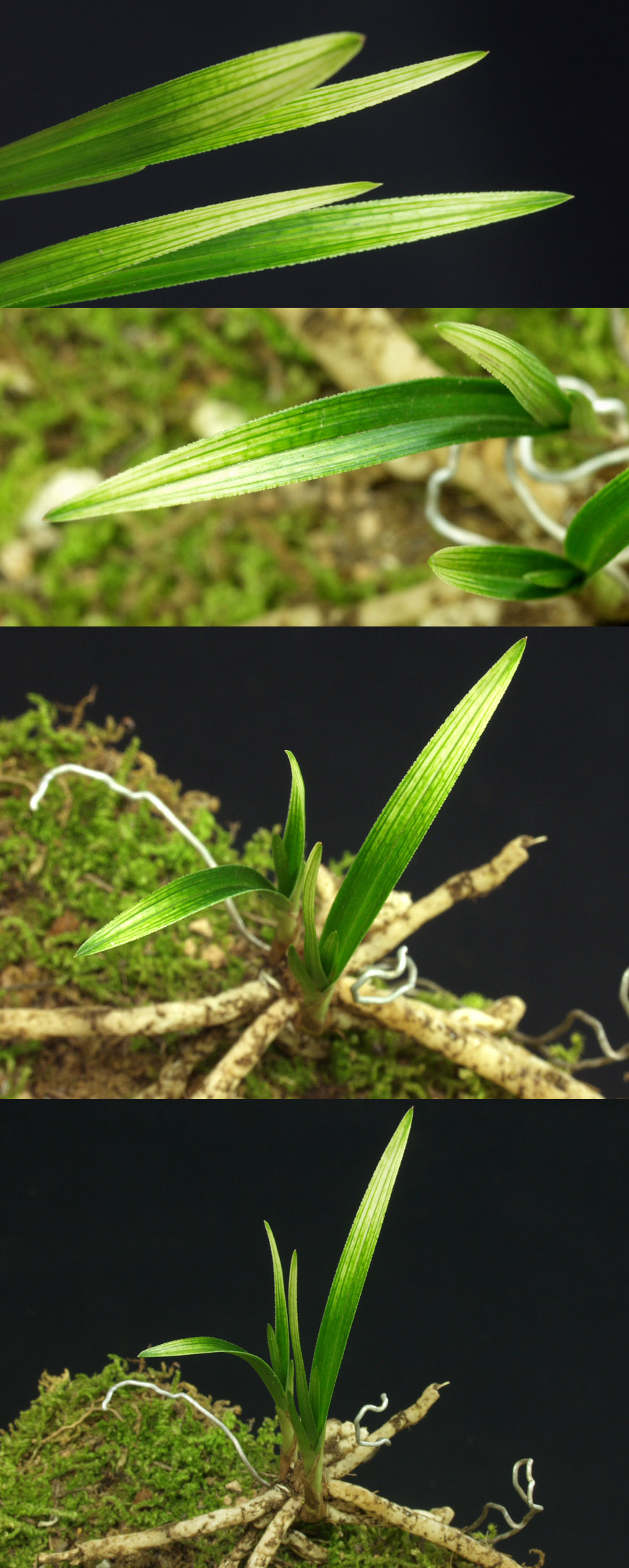 ������ ū������ �� �� �ֽ��ϴ�.