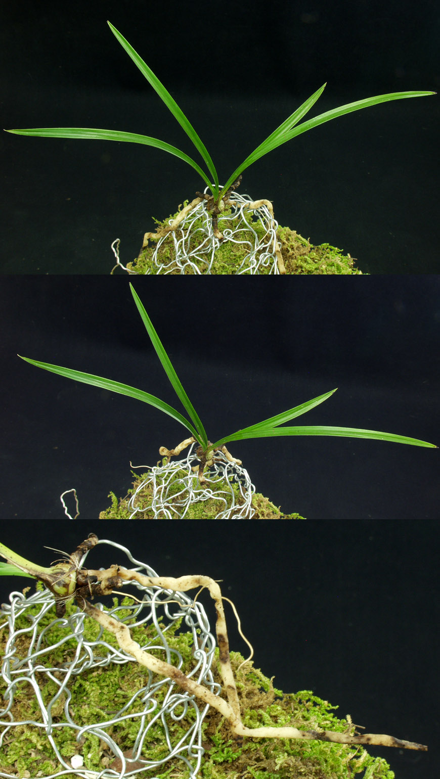 ������ ū������ �� �� �ֽ��ϴ�.