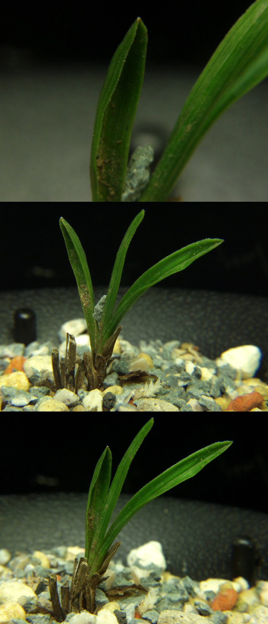 ������ ū������ �� �� �ֽ��ϴ�.