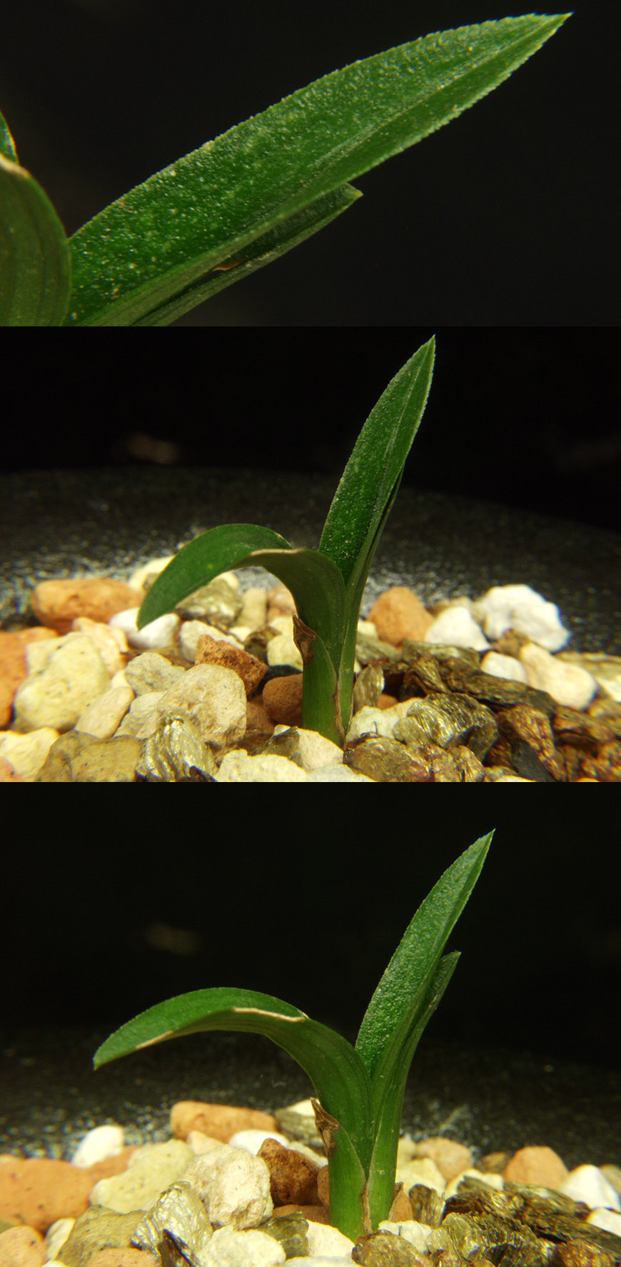 ������ ū������ �� �� �ֽ��ϴ�.