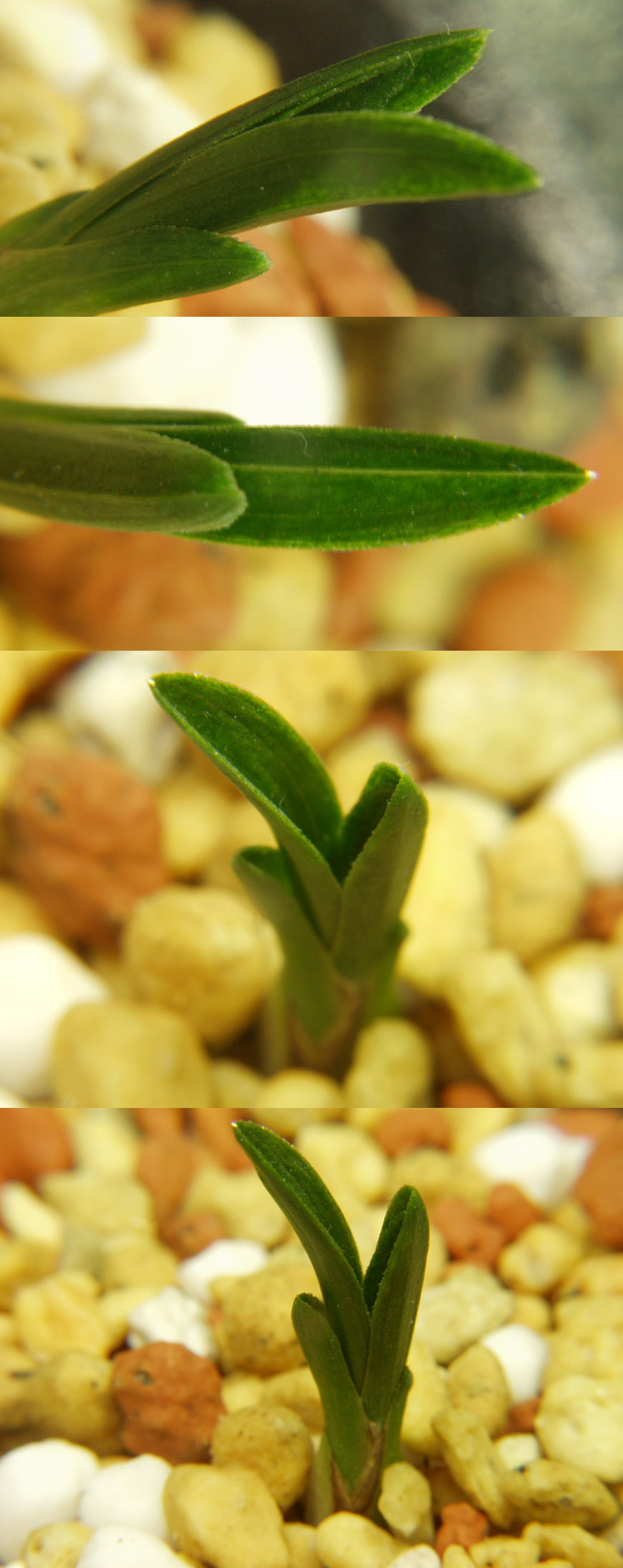 ������ ū������ �� �� �ֽ��ϴ�.