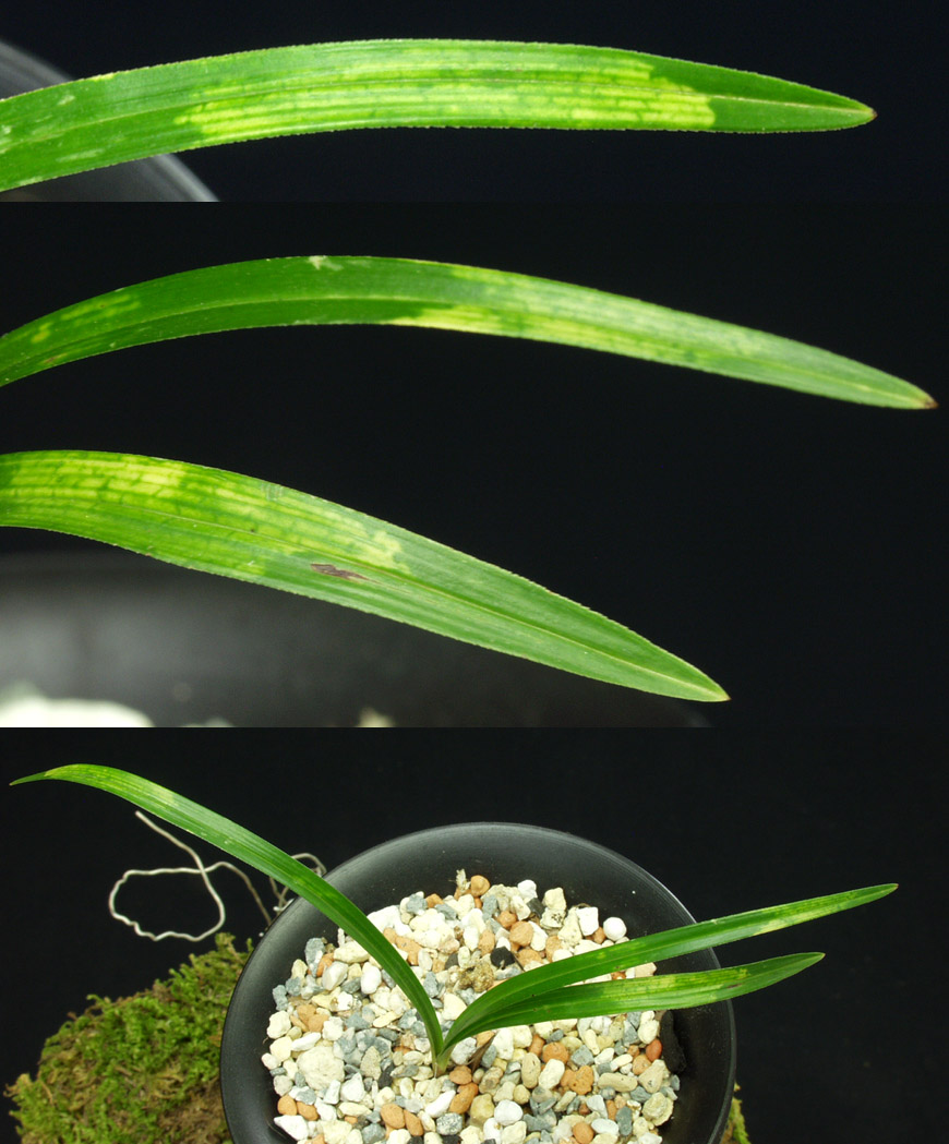 ������ ū������ �� �� �ֽ��ϴ�.