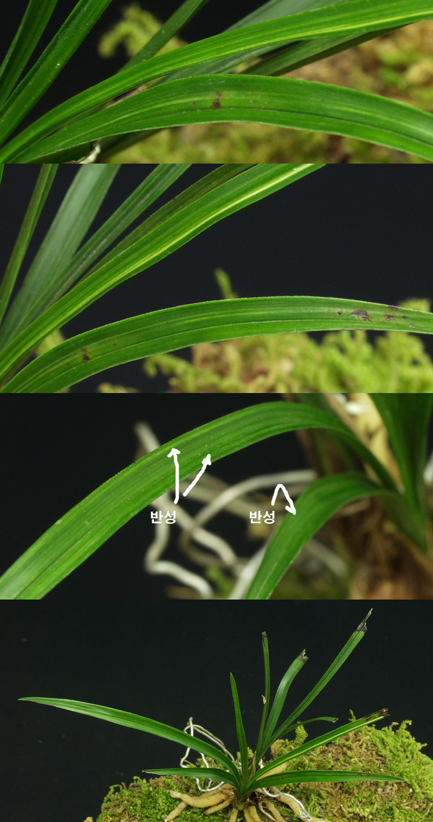 ������ ū������ �� �� �ֽ��ϴ�.