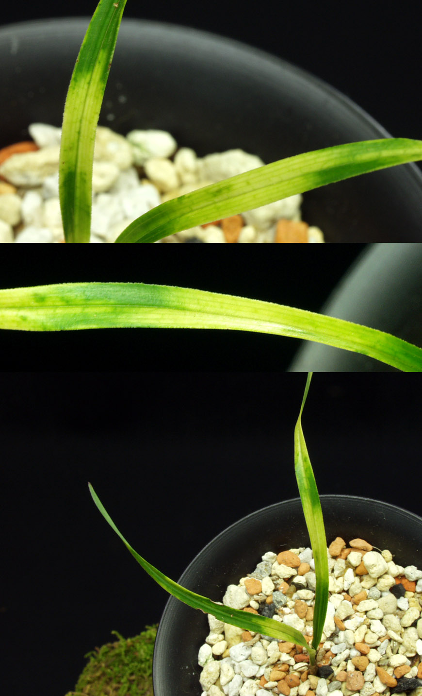 ������ ū������ �� �� �ֽ��ϴ�.