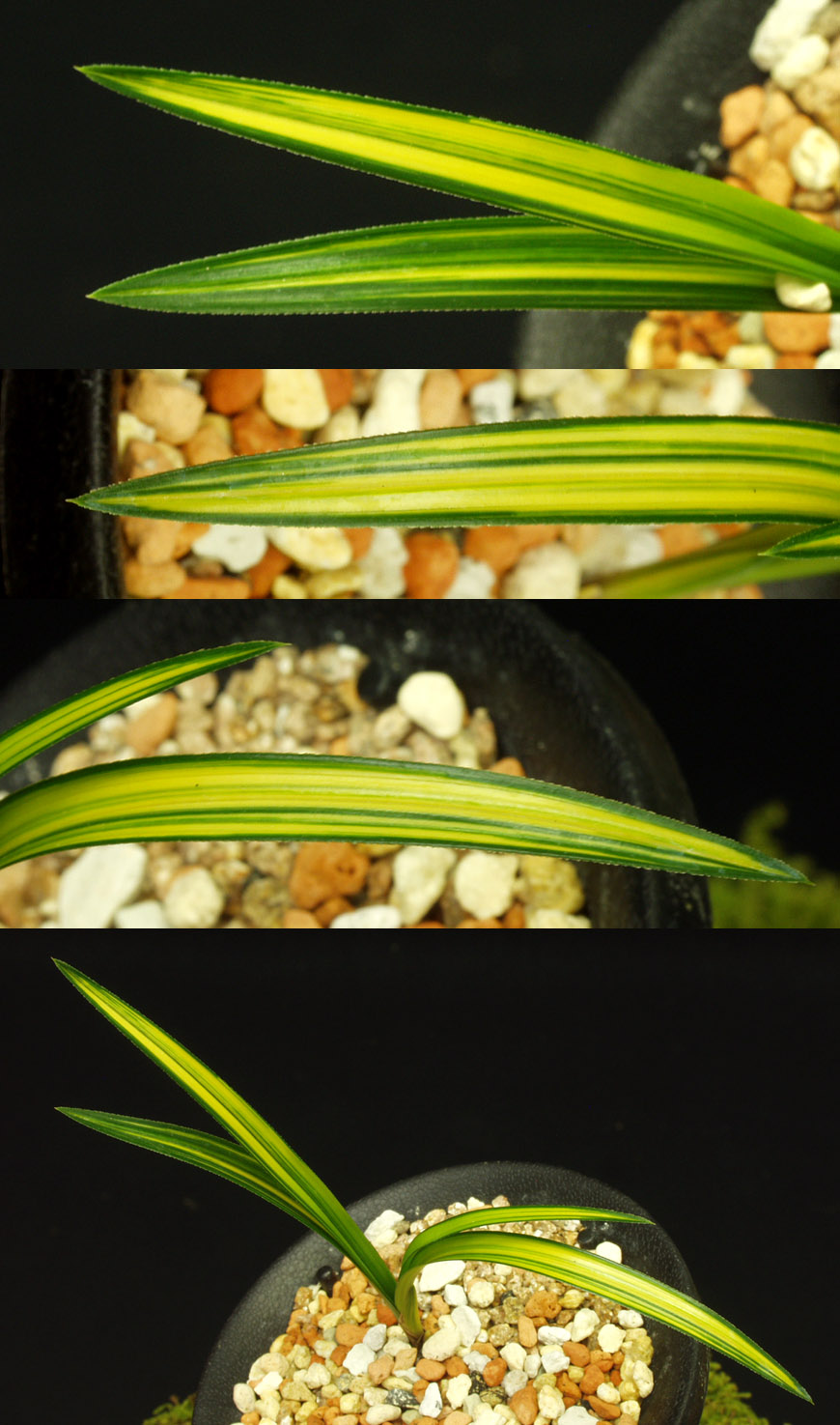 ������ ū������ �� �� �ֽ��ϴ�.