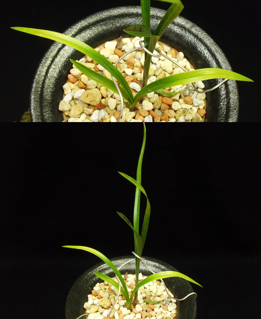 ������ ū������ �� �� �ֽ��ϴ�.