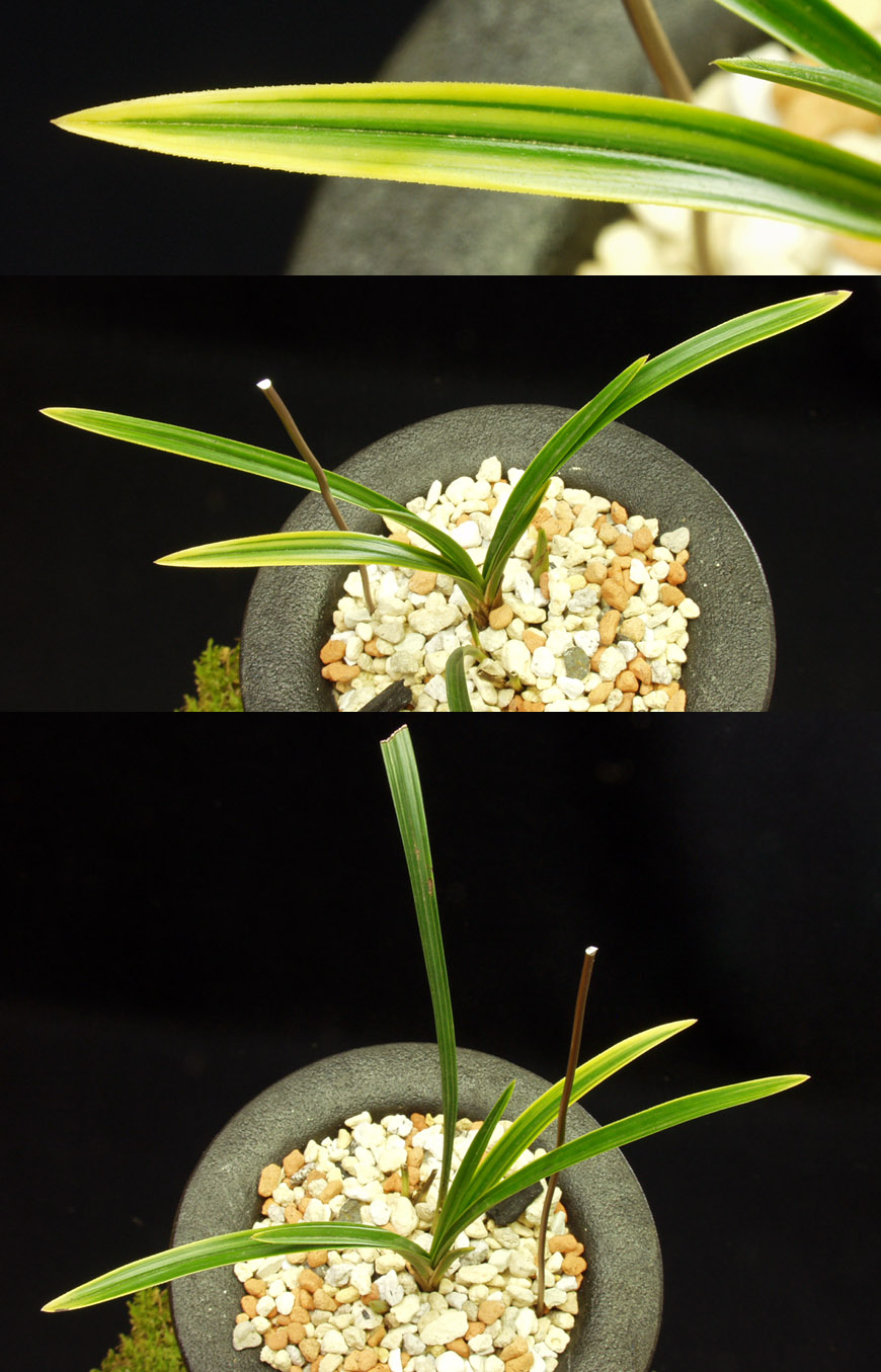 ������ ū������ �� �� �ֽ��ϴ�.