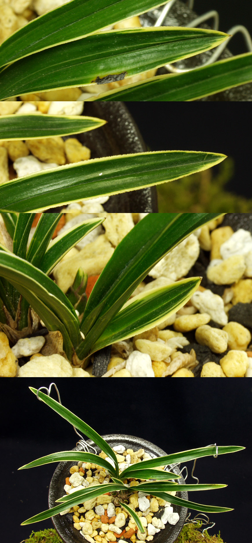 ������ ū������ �� �� �ֽ��ϴ�.