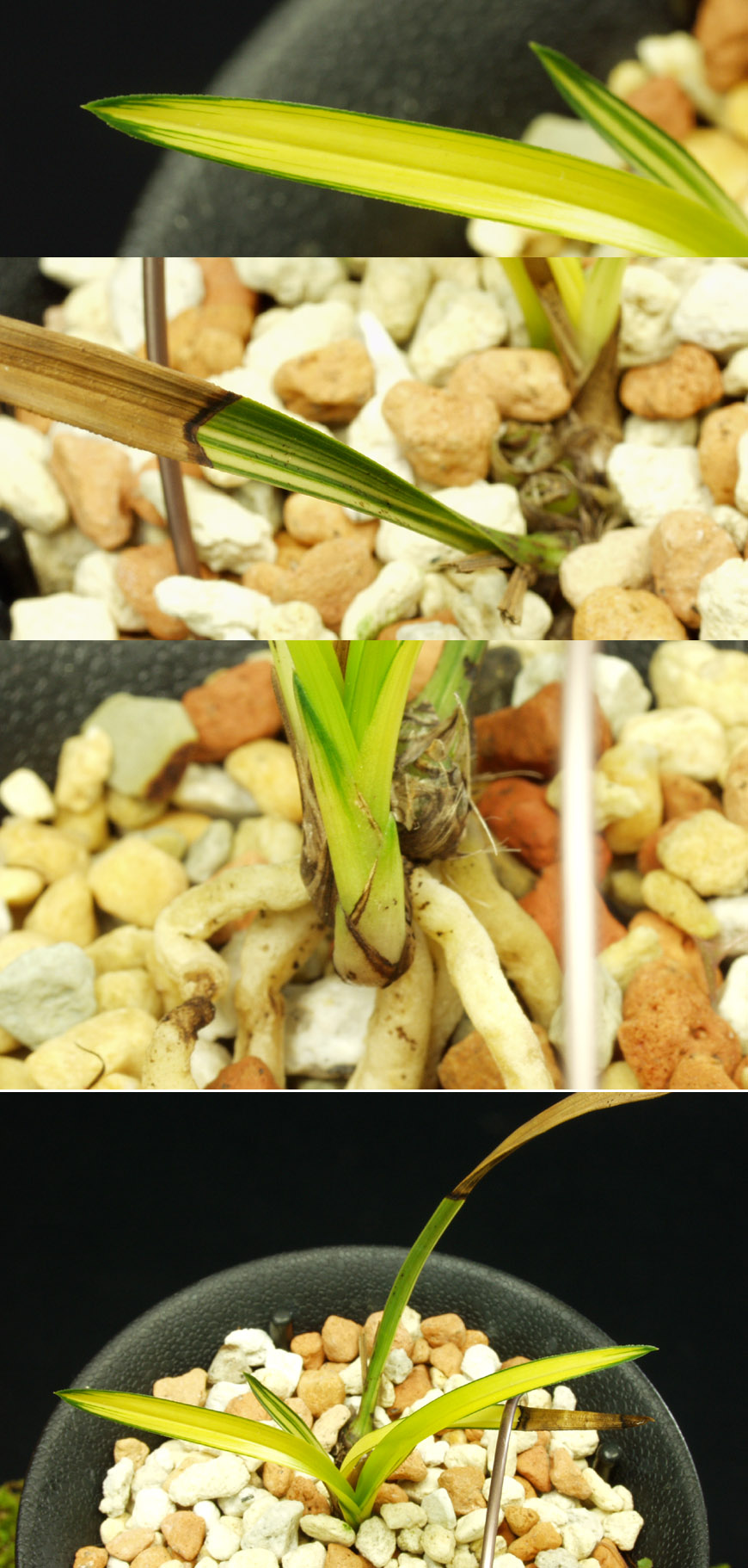 ������ ū������ �� �� �ֽ��ϴ�.