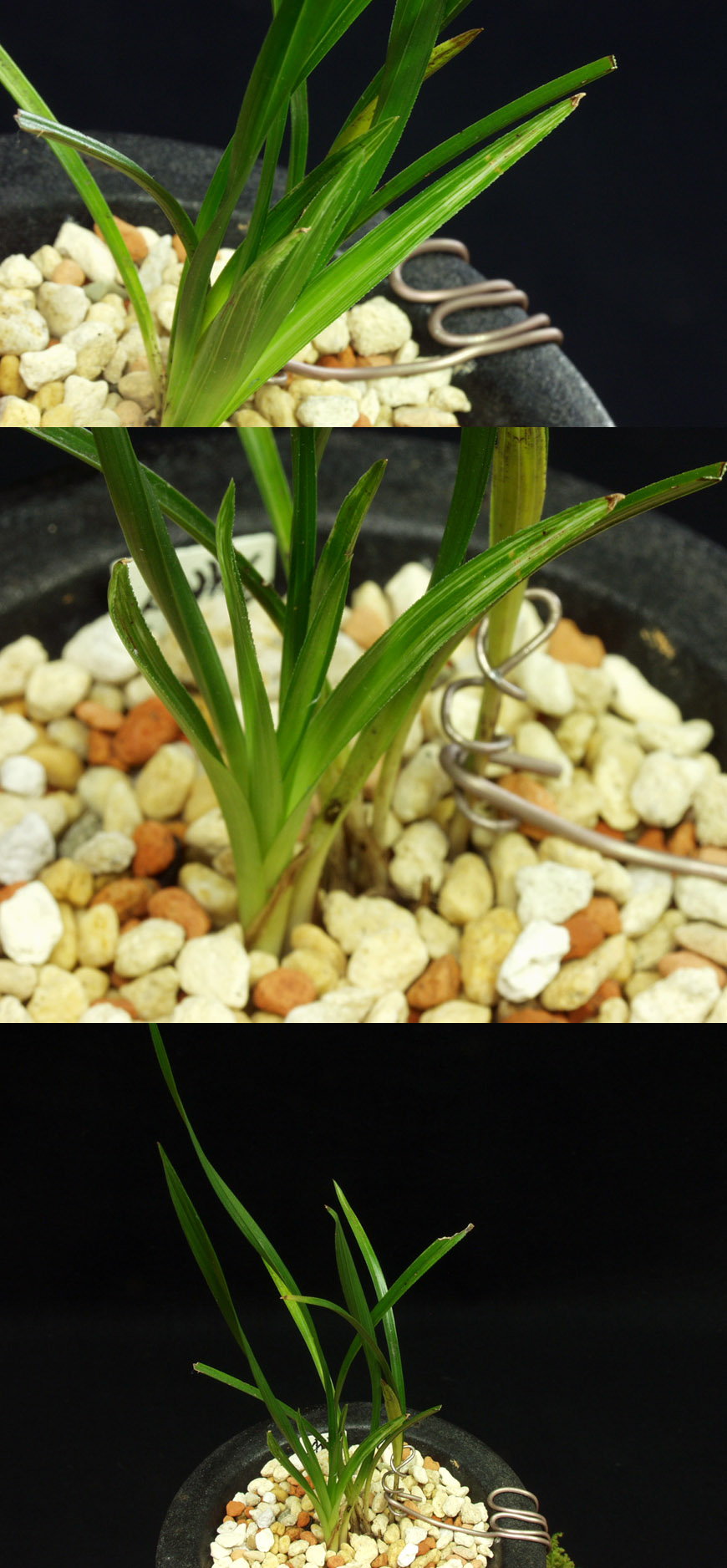 ������ ū������ �� �� �ֽ��ϴ�.