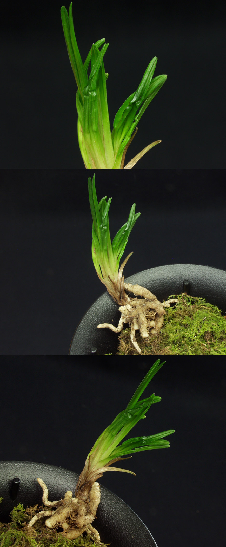 ������ ū������ �� �� �ֽ��ϴ�.