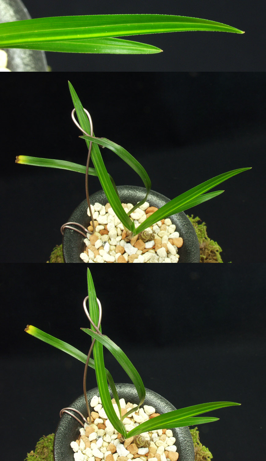 ������ ū������ �� �� �ֽ��ϴ�.