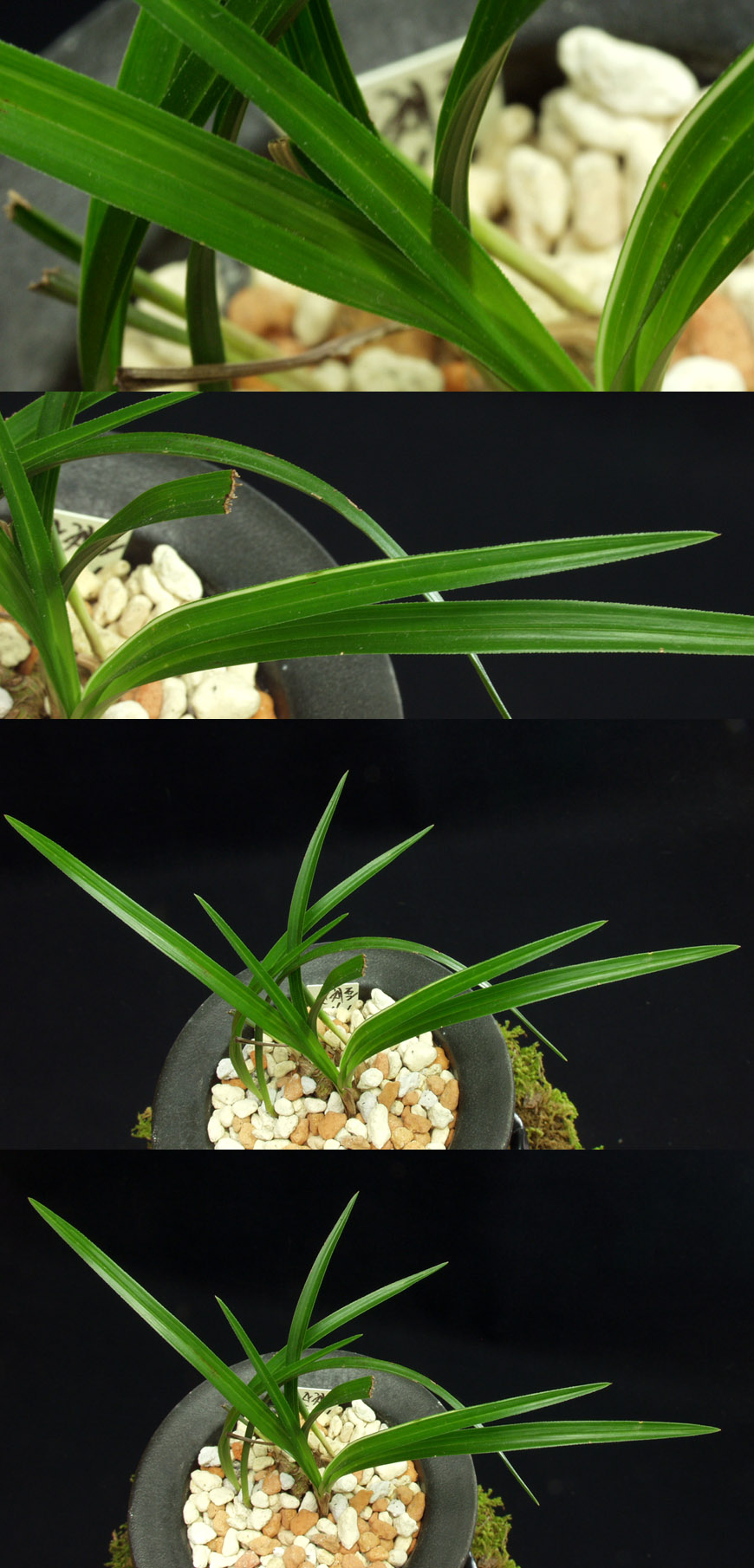 ������ ū������ �� �� �ֽ��ϴ�.