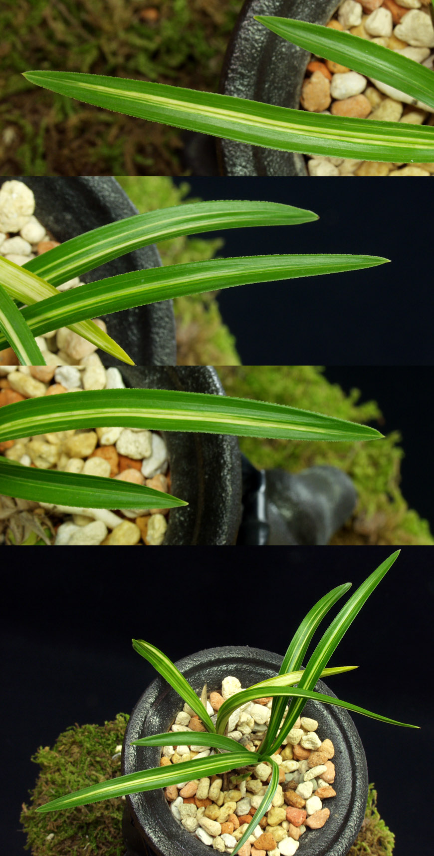 ������ ū������ �� �� �ֽ��ϴ�.