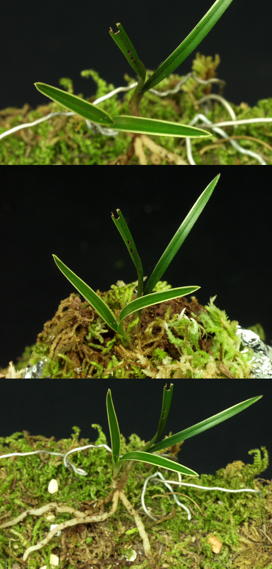 ������ ū������ �� �� �ֽ��ϴ�.