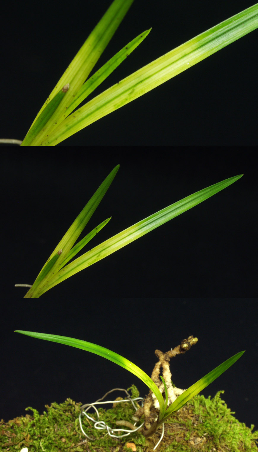 ������ ū������ �� �� �ֽ��ϴ�.