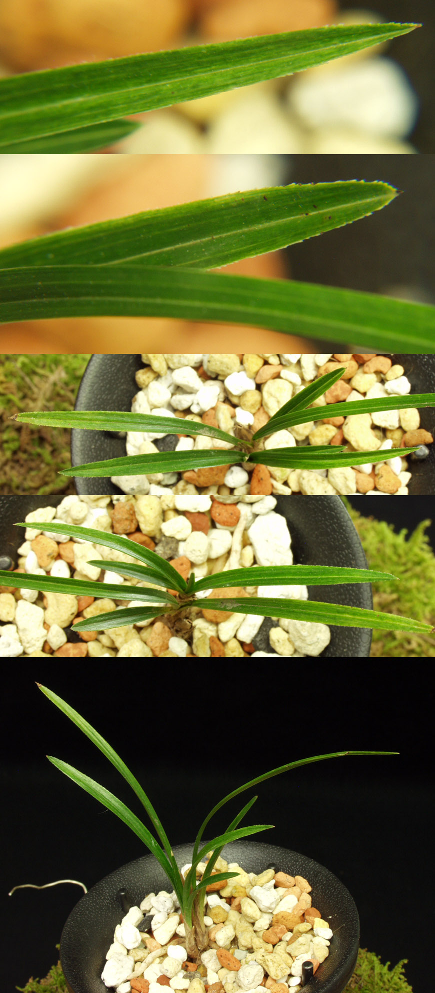 ������ ū������ �� �� �ֽ��ϴ�.