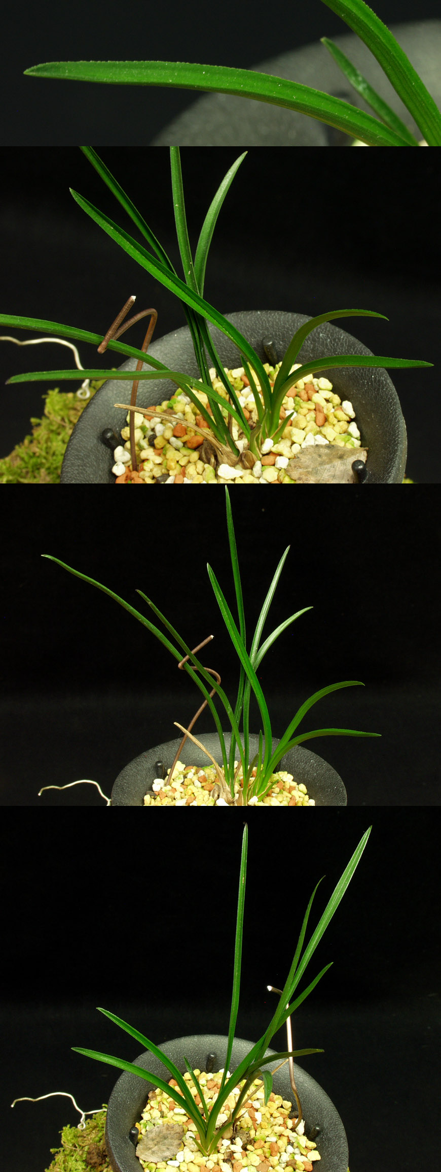 ������ ū������ �� �� �ֽ��ϴ�.