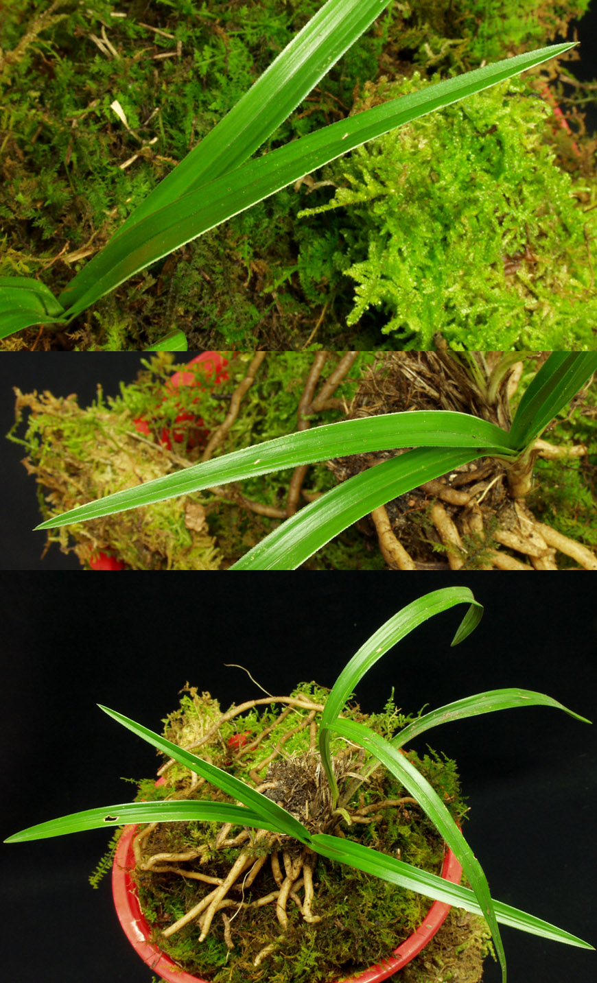 ������ ū������ �� �� �ֽ��ϴ�.