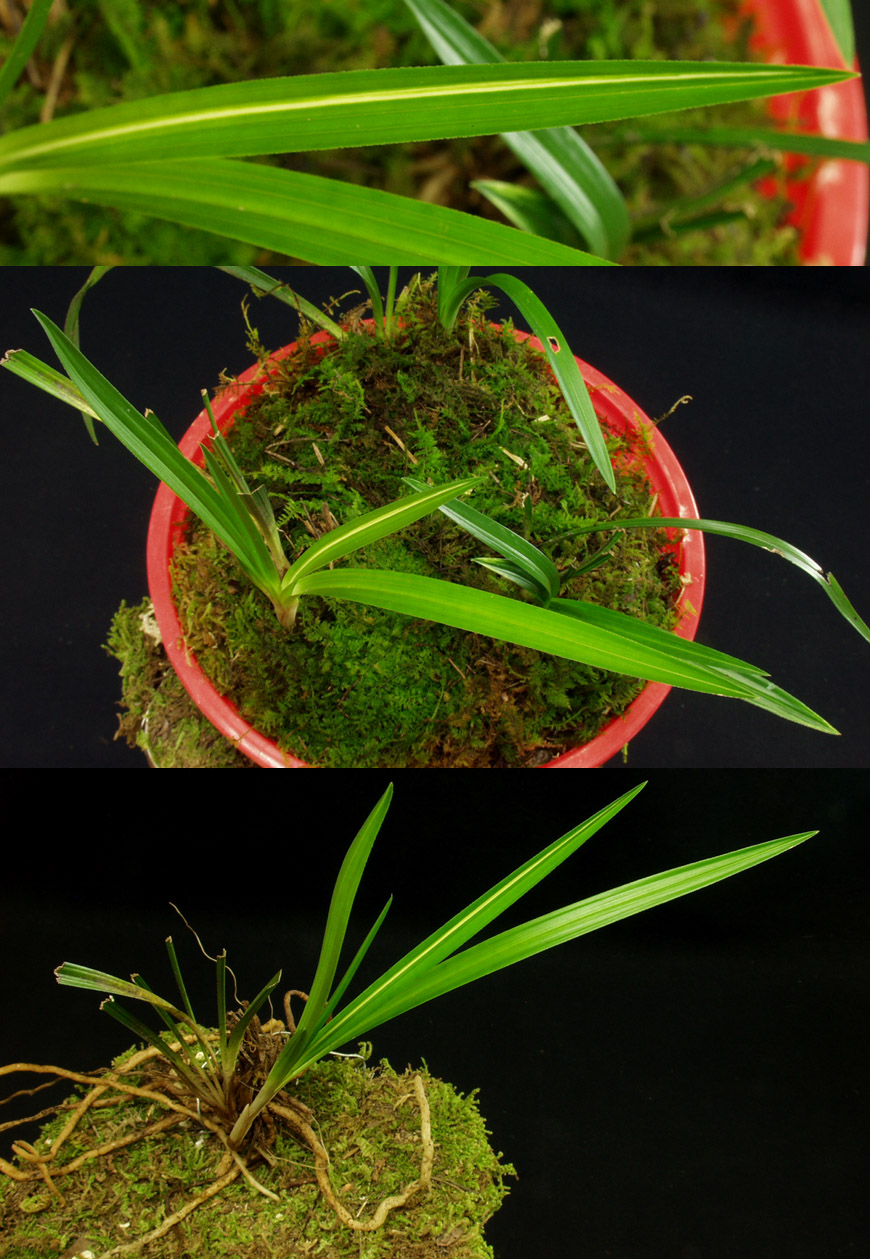 ������ ū������ �� �� �ֽ��ϴ�.