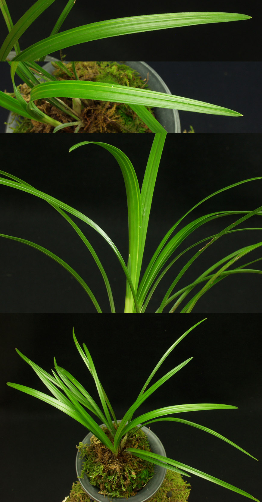 ������ ū������ �� �� �ֽ��ϴ�.