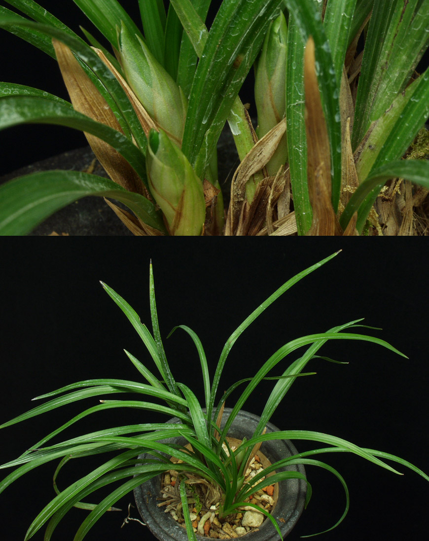 ������ ū������ �� �� �ֽ��ϴ�.