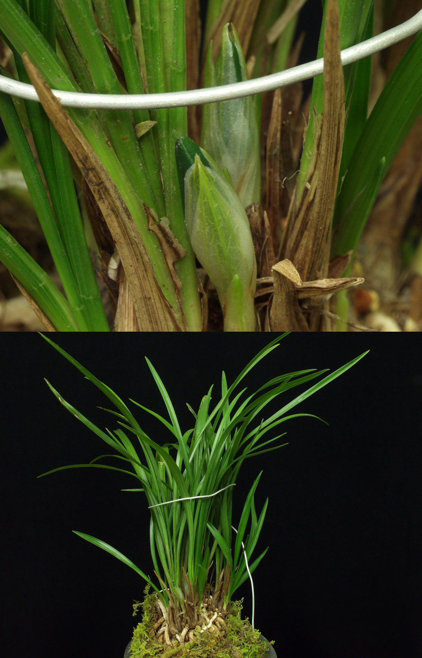 ������ ū������ �� �� �ֽ��ϴ�.