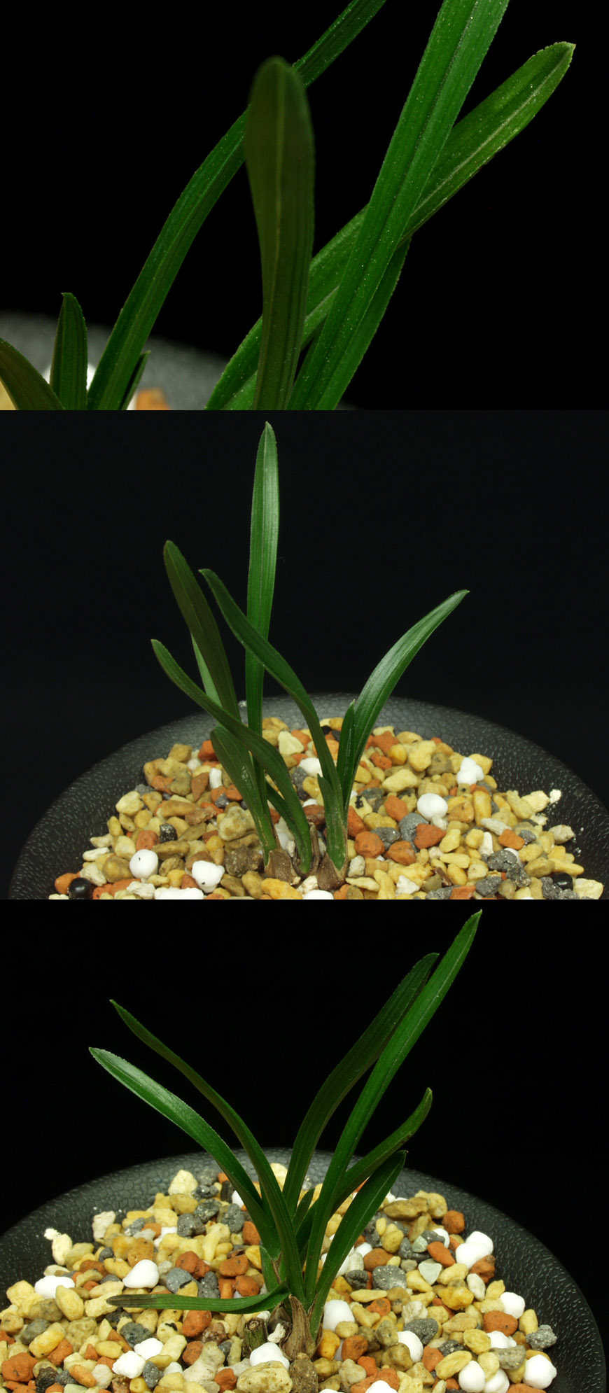 ������ ū������ �� �� �ֽ��ϴ�.