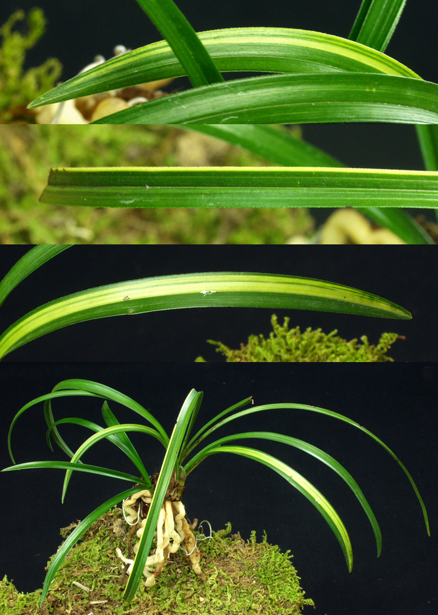 ������ ū������ �� �� �ֽ��ϴ�.