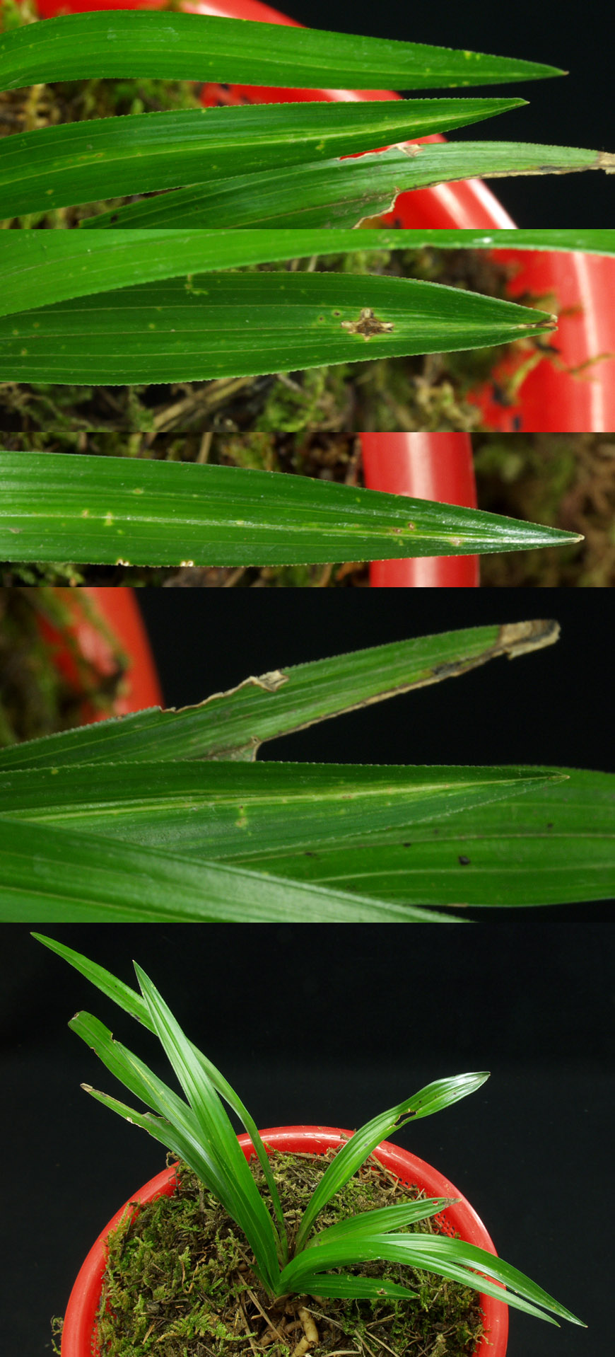 ������ ū������ �� �� �ֽ��ϴ�.