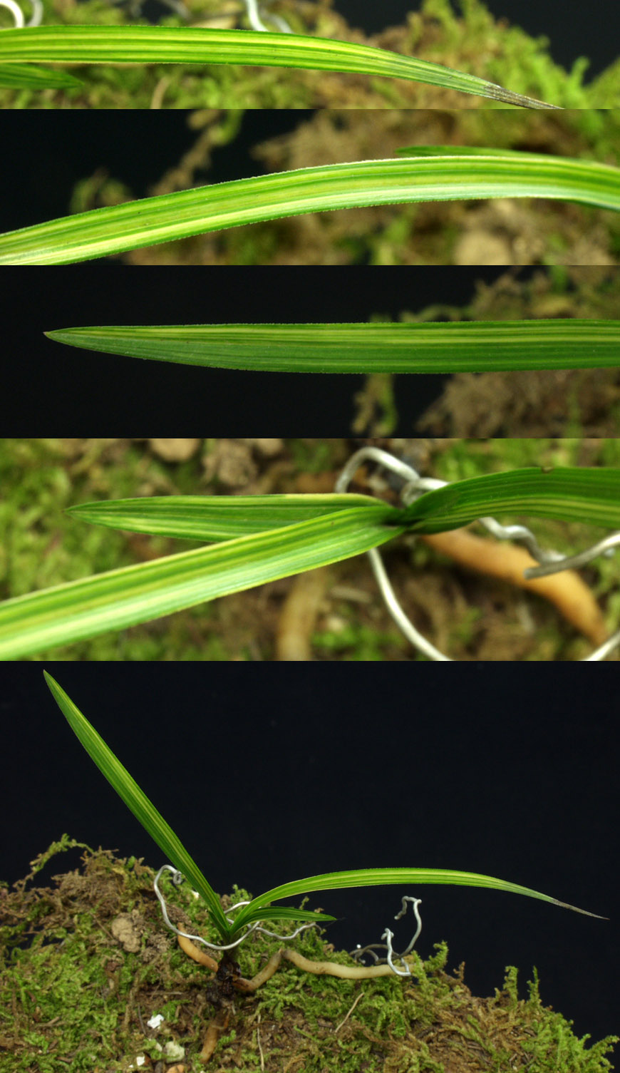 ������ ū������ �� �� �ֽ��ϴ�.