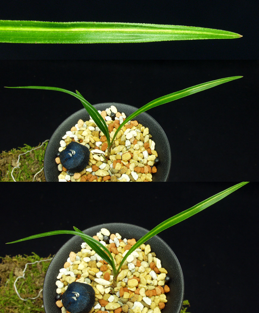 ������ ū������ �� �� �ֽ��ϴ�.