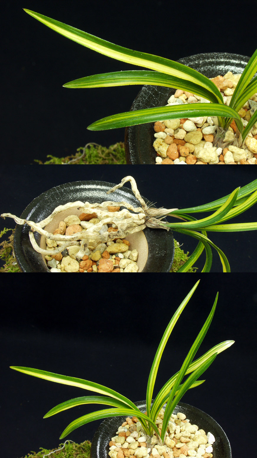 ������ ū������ �� �� �ֽ��ϴ�.