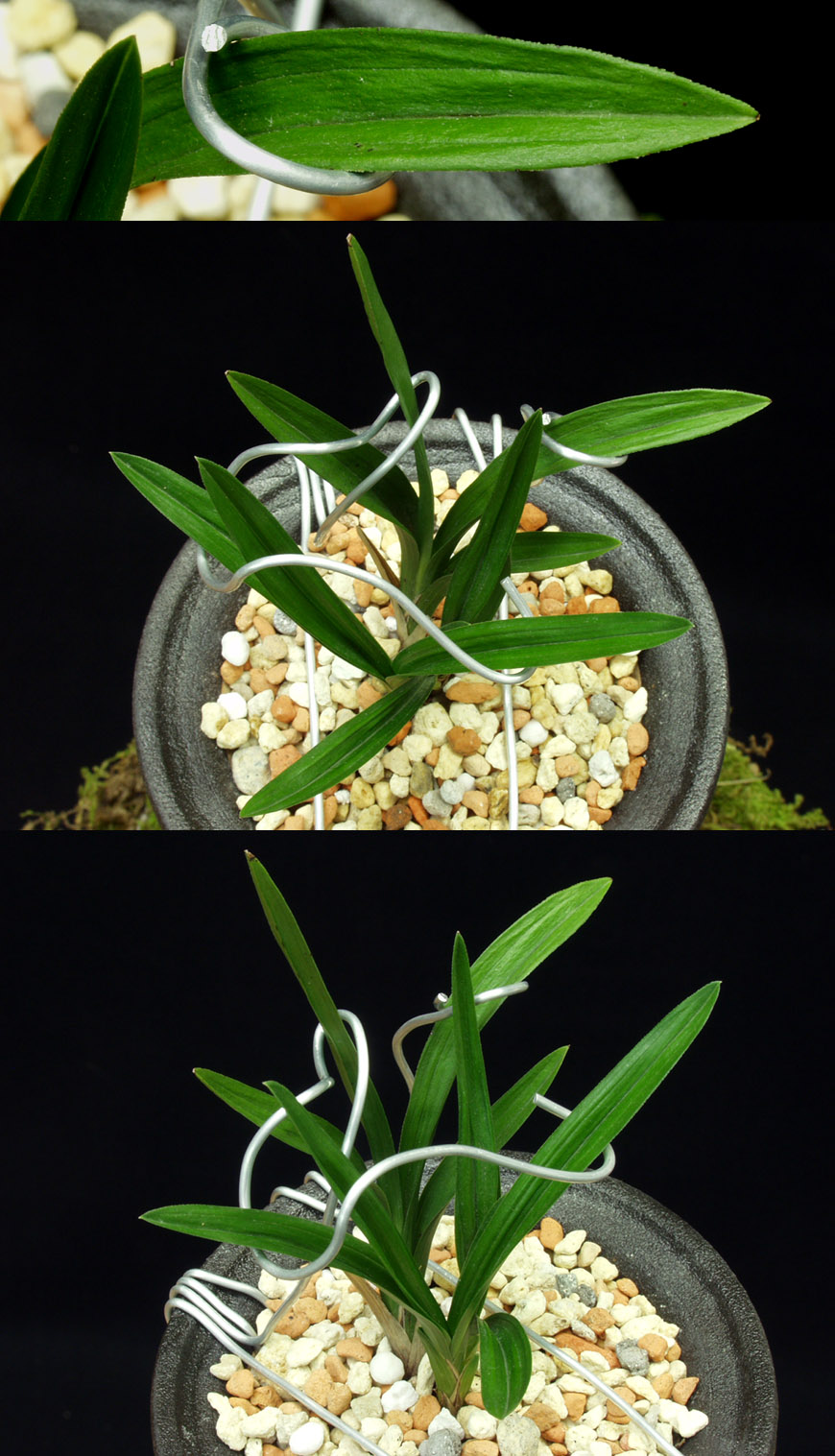 ������ ū������ �� �� �ֽ��ϴ�.