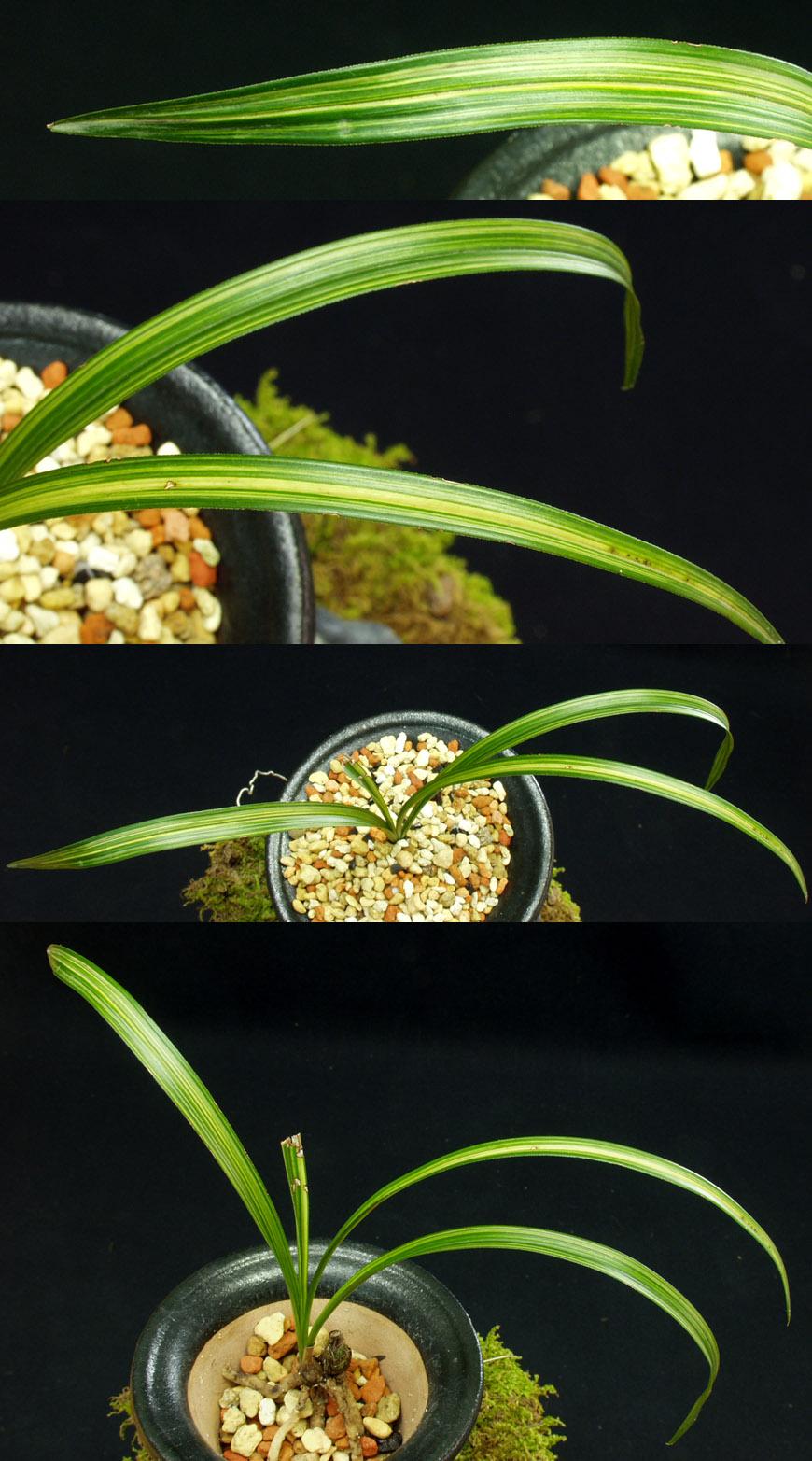 ������ ū������ �� �� �ֽ��ϴ�.