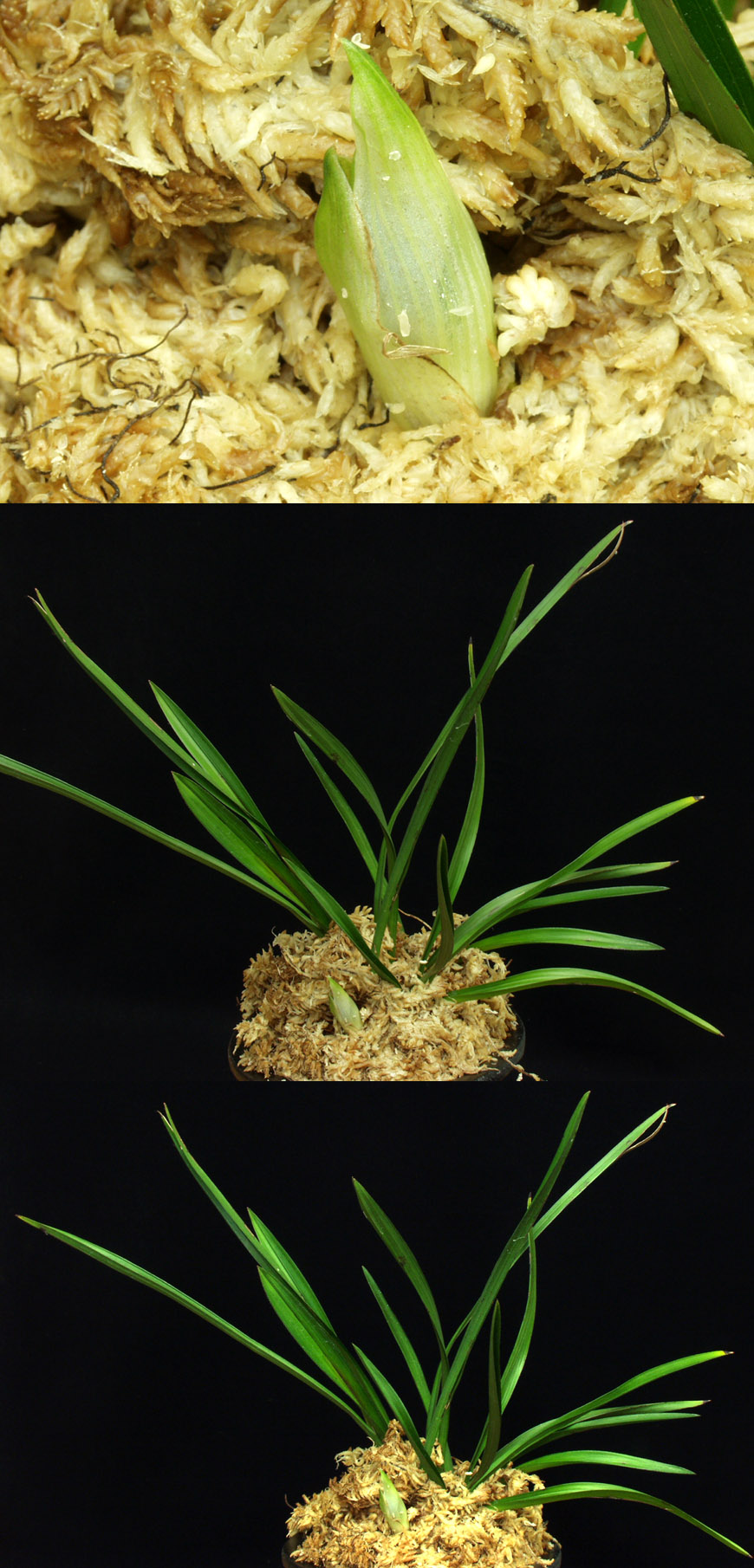 ������ ū������ �� �� �ֽ��ϴ�.