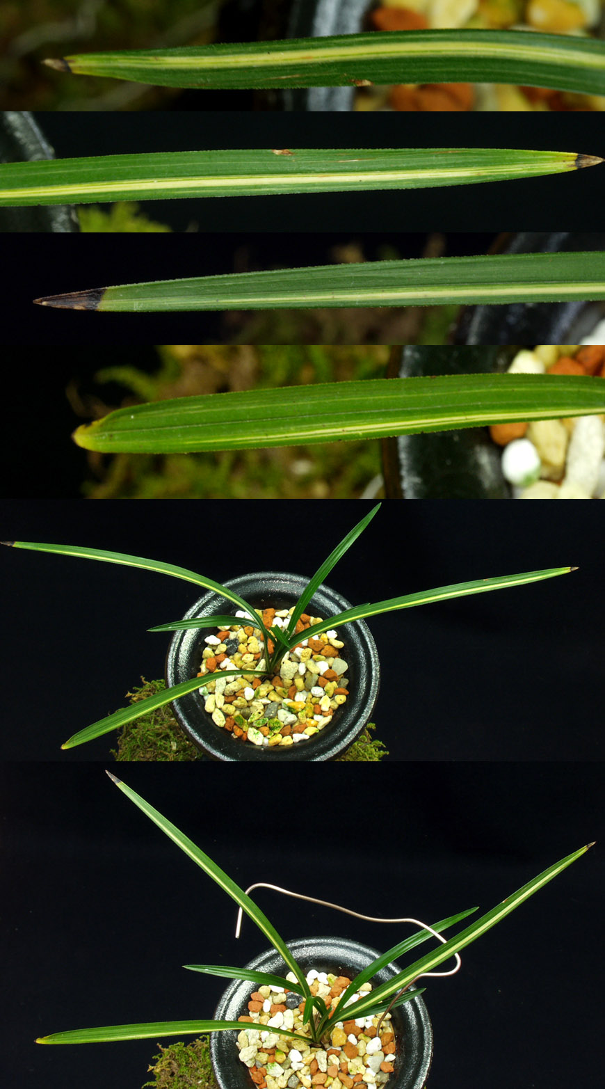 ������ ū������ �� �� �ֽ��ϴ�.