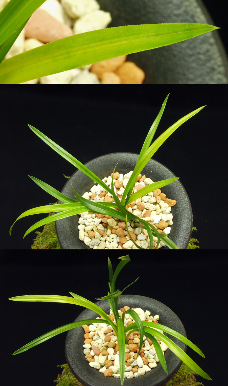 ������ ū������ �� �� �ֽ��ϴ�.