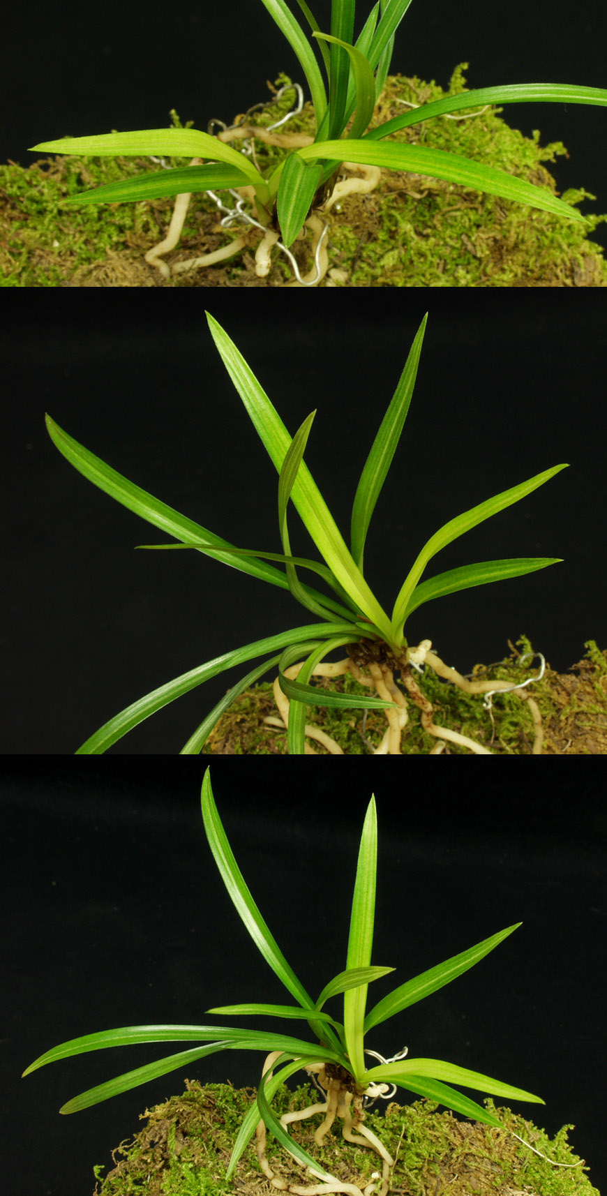 ������ ū������ �� �� �ֽ��ϴ�.